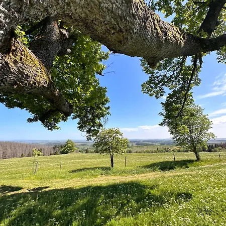 Ferienwohnungen Hexenstieg & Wurmbergblick Schierke Zewnętrze zdjęcie