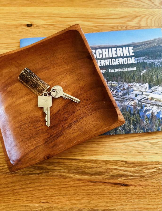 Hexenstieg & Wurmbergblick Apartamento Schierke